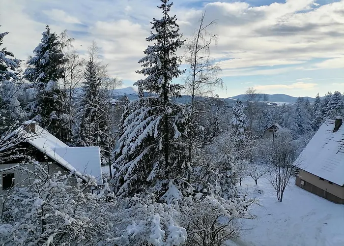 Prestige Forest Zlatibor